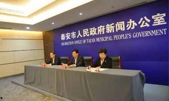 山东泰安新闻爆料平台,聚焦民生热点，揭示社会动态  第3张